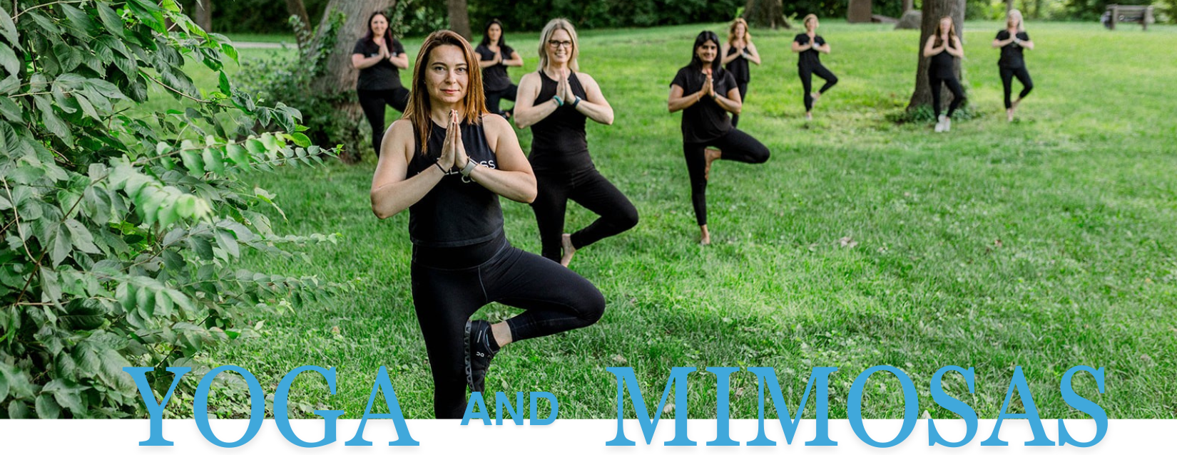 Yoga and Mimosas Series